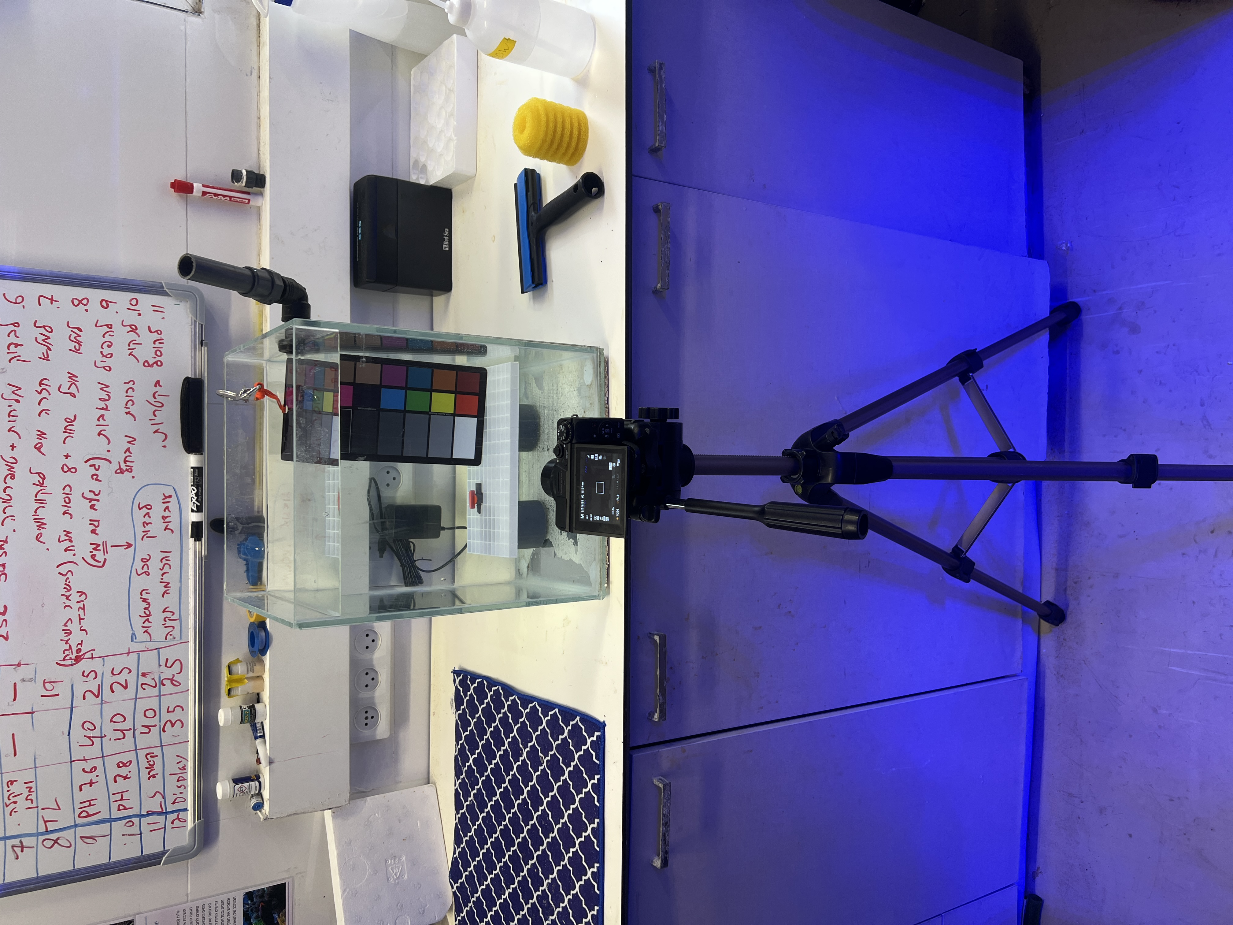 Figure 1: Imaging Rig V1 without backdrop behind camera
